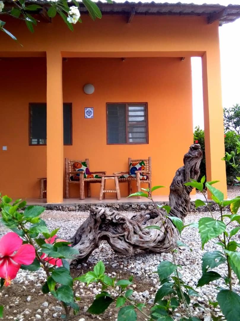 Kamili View Apartments Kiwengwa  Zewnętrze zdjęcie